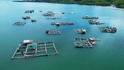 Fish farm with cages for fish and shrimp