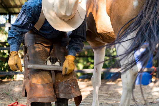 A cowboy wearing leather chaps and gloves trims a horse&rsquo;s hoof using a rasp in an outdoor stable