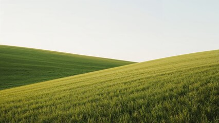 Obraz premium Rolling green hills with fresh grass and blue sky.