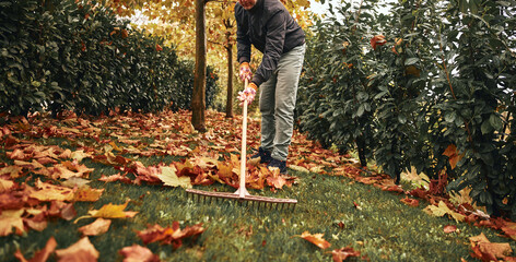 Man cleaning garden from fallen autumn leaves.
