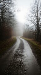Winding dirt road through a foggy forest in autumn, moody atmosphere, mysterious path, nature, solitude, damp