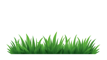 Fototapeta premium Green grass nature plant outdoor fresh summer field landscape isolated realistic illustration of vibrant grass blades for natural design projects