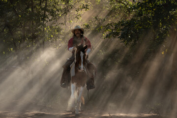 A cowboy riding a horse through dramatic rays of sunlight shining between the trees