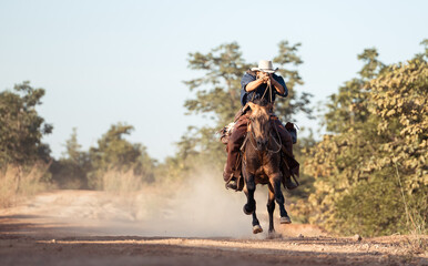 Naklejka premium A cowboy on a rearing horse holding a revolver, capturing a classic and dramatic