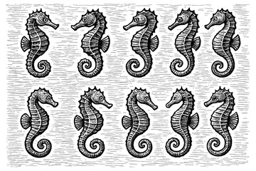Obraz premium Vintage engraved seahorse pattern with retro nautical charm