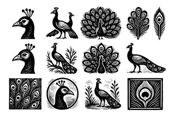 Obraz premium Elegant peacock woodcut art collection: intricate feather designs and stylized bird motifs