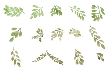Assortment of watercolor leaves illustration set - green leaf branches collection for wedding, greetings, stationary, wallpapers, fashion, background. olive, green leaves, Eucalyptus etc	