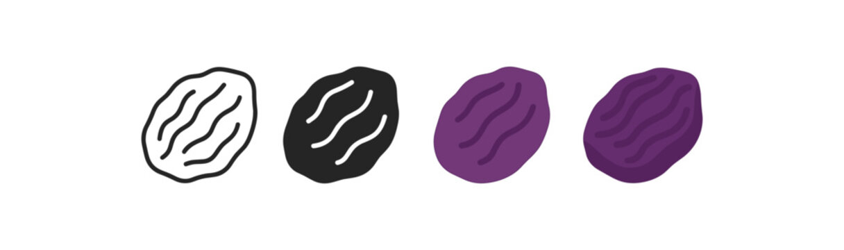 Flat style raisin icon set: monochrome and colorful variations