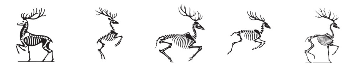 deer skeleton silhouette vector