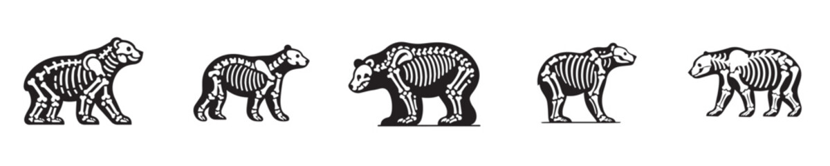 bear bone skeleton vector silhouette