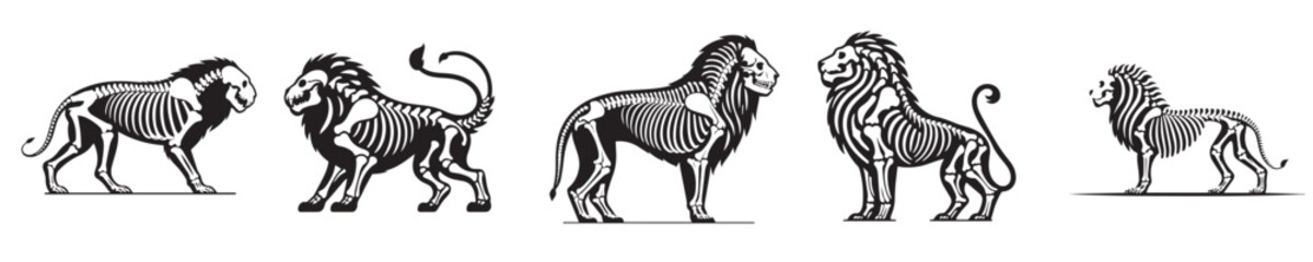 vector lion bones skeleton silhouette © sarah16blakeyxh2