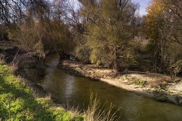 Scenic view of a winding river surrounded by trees in a serene landscape on a sunny day