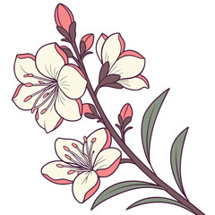 antirrhinum white with leaves