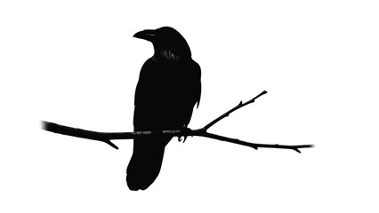 Obraz premium Striking black silhouette of a large raven perched firmly on a bare, dark tree branch, minimalist graphic design, vector art, isolated on white background