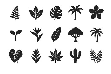 Collection of various botanical leaf and plant silhouettes in black