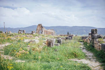 Fototapeta premium Ancient ruins surrounded by lush greenery and wildflowers, with a pathway leading through the historical site, showcasing the beauty of nature and history intertwined