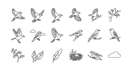 Obraz premium Bird silhouette set with branches and feathers in linear design
