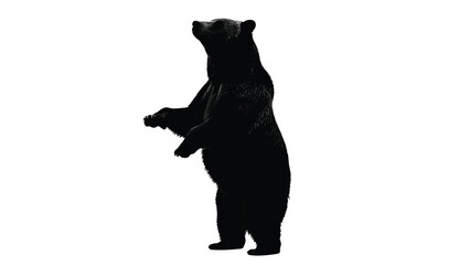 Black bear silhouette standing upright on hind legs looking upwards, powerful wildlife graphic, clean vector art, mascot design, isolated on white background