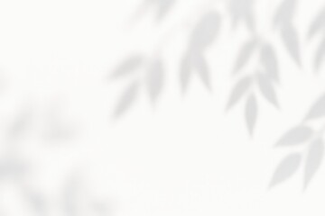 Obraz premium Soft Leaf Shadows on a Light Background for Tranquil Atmosphere