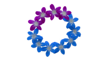 Purple and blue tropical flower lei, arranged in circular shape, isolated on transparent background, symbolizing celebration, summer, and Hawaiian culture, with festive and cheerful mood