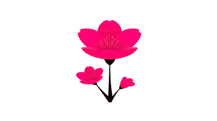 Pink cherry blossom flower with three blooms on dark stem, delicate petals and stamen, symbolizing spring and renewal, isolated on transparent background
