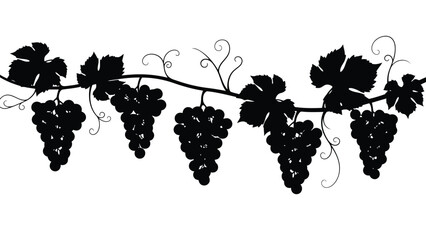 Obraz premium Grapevine border graphic black silhouette with clusters of ripe grapes and leaves isolated