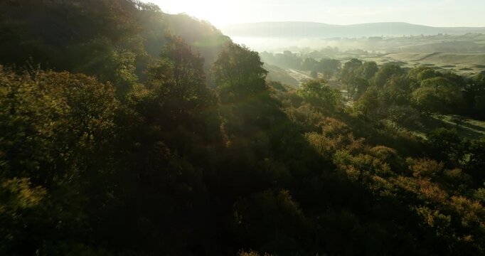 Flying over a forest in Yorkshire Dales at sunrise