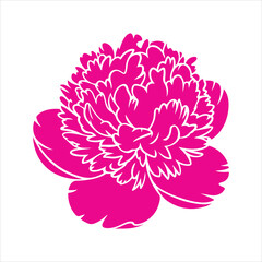 Peony Flower Illustration – Elegant Red Peony Vector Design
