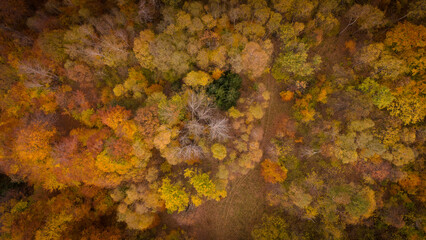 The beauty of Vigezzo Valey, Piedmont, Italy in autumn