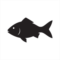 shark isolated on white background