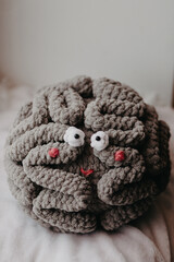 Knitted toy brain with eyes and a smile.