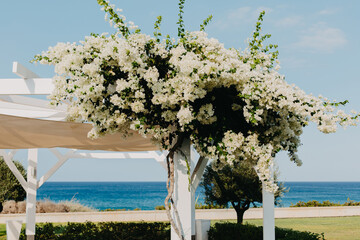 Flower arch against the sea.