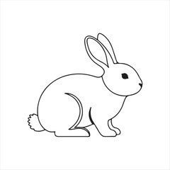 vector illustration of a rabbit
