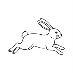 vector illustration of a rabbit