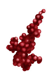 Red Winter Berries Watercolor Clipart. Hand-painted berry branch for Christmas wreaths, holiday cards, winter wedding decor, scrapbooking and seasonal crafts