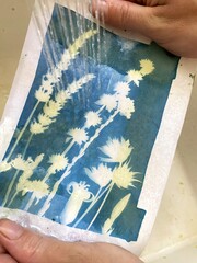 Pouring water over blueprint to stop the process