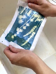 Pouring water over cyanotype / blueprint paper