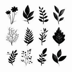 Black and white botanical illustrations of various leaves and floral elements
