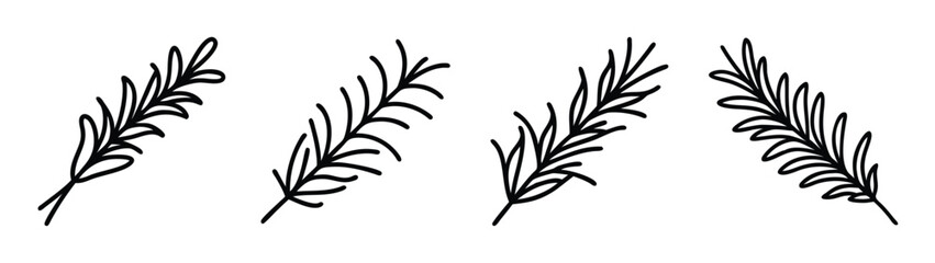 Illustration of rosemary sprigs culinary herb drawing aromatic plant cooking ingredient flavoring, 90 © IsratJahan