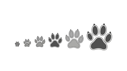 Evolution of Paw Prints - A Visual Representation of Growth and Development.
