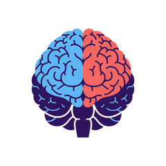 Human Brain Vector Anatomy for Educational Use