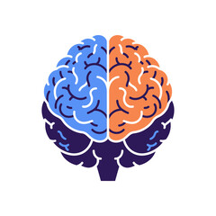 Human Brain Vector Anatomy for Educational Use