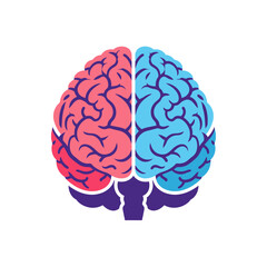 Human Brain Vector Anatomy for Educational Use
