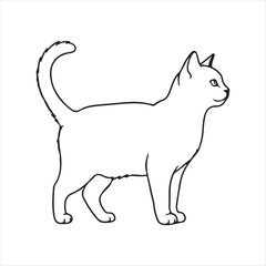 black cat vector