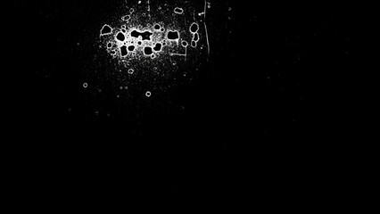 White abstract splatter and circles on a black background