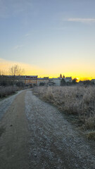 Golden hour over a frozen field path
