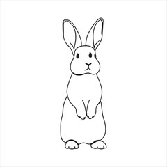 vector illustration of a rabbit