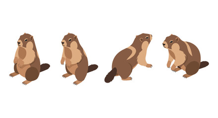 Isometric marmot with multiple poses on white background