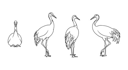 Obraz premium Elegant bird silhouette collection: graceful line art of standing cranes