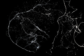 White paint splash isolated on black background.